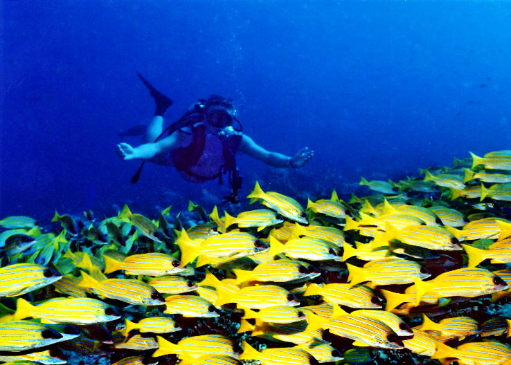 6. Banana Reef